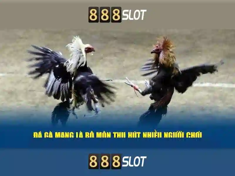 888SLOT nhà cái - 888slot
