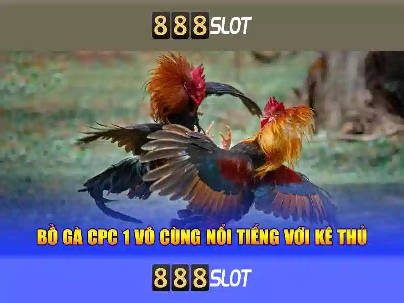 Về Chúng Tôi - 888SLOT: Sân Chơi Slot Đẳng Cấp Số 1 Đông Nam Á 2026 - 888slot