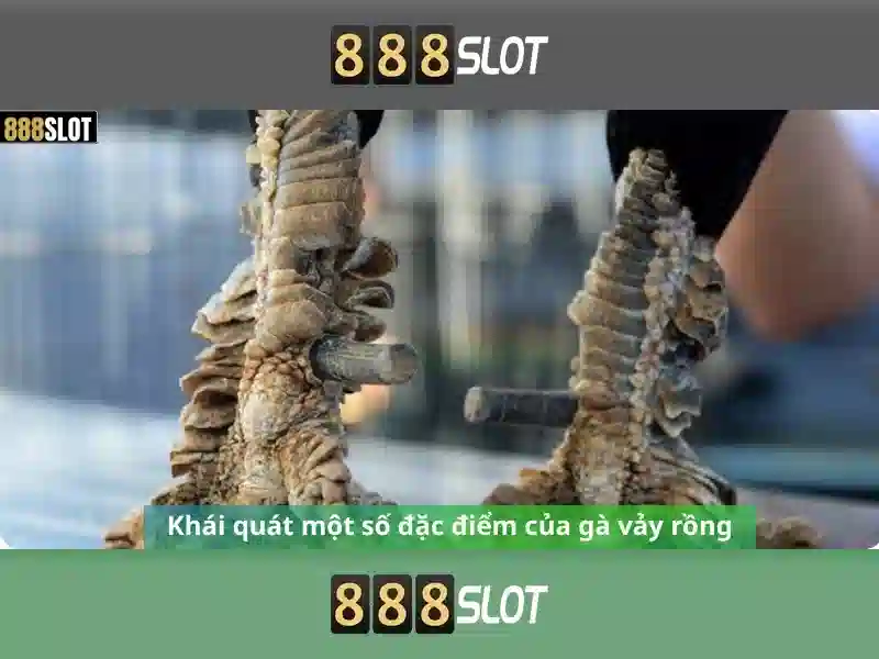 💎link vao sin88 moi nhat💎 - sin88 soi kèo - hướng dẫn tải app sin88