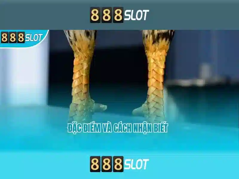 💎karaoke đắp mộ cuộc tình sống ca💎