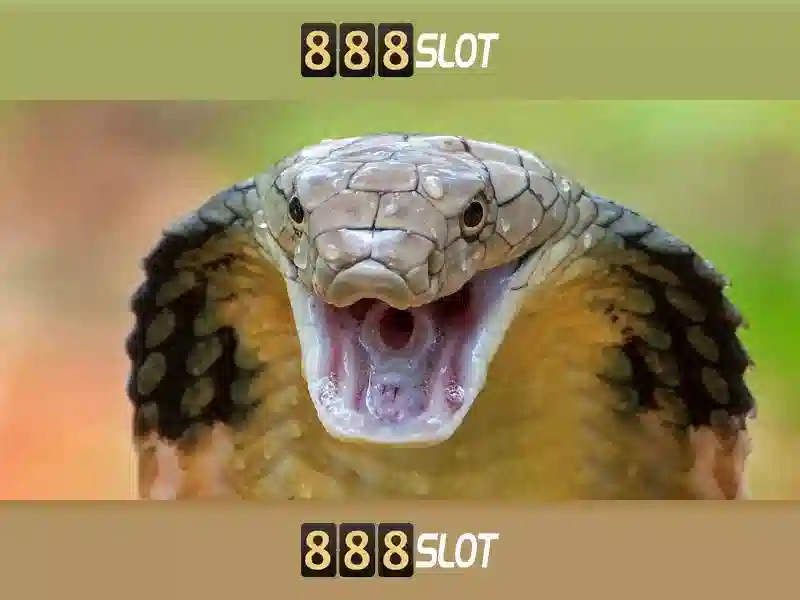 casino slot - 888slot