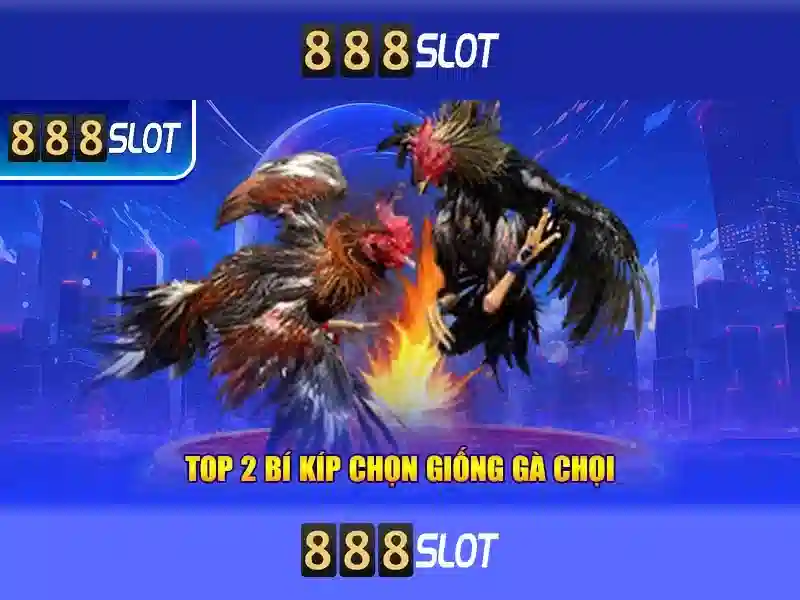 💎slots com app💎